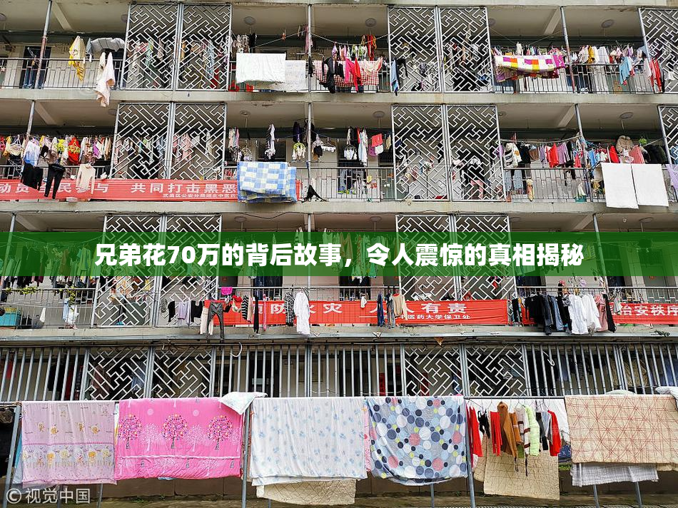 兄弟花70万的背后故事，令人震惊的真相揭秘