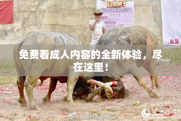 免费看成人内容的全新体验，尽在这里！
