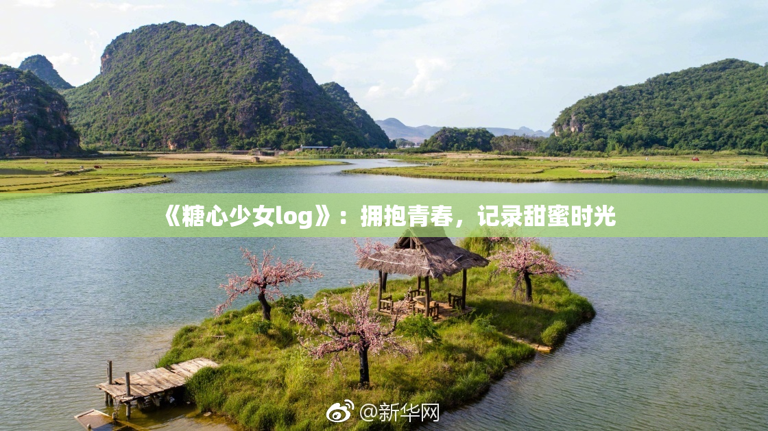 《糖心少女log》：拥抱青春，记录甜蜜时光