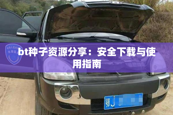 bt种子资源分享：安全下载与使用指南