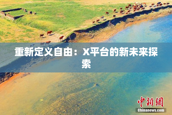 重新定义自由：X平台的新未来探索