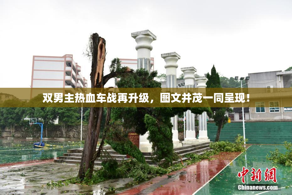 双男主热血车战再升级，图文并茂一同呈现！
