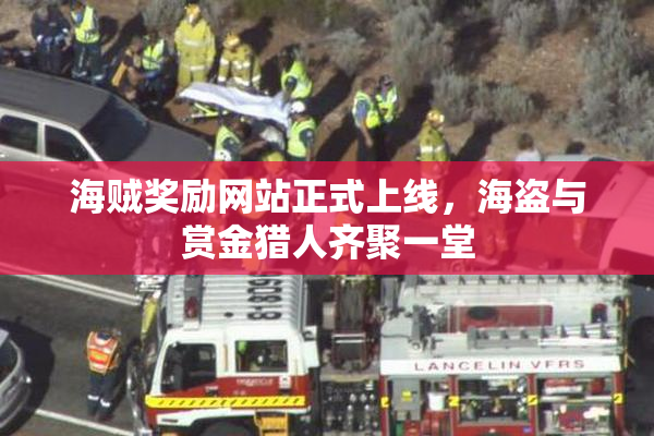 海贼奖励网站正式上线，海盗与赏金猎人齐聚一堂