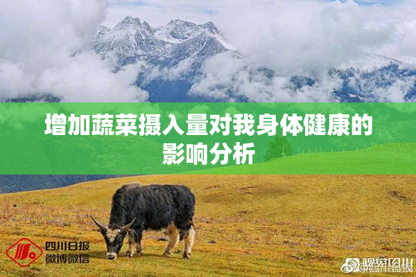 增加蔬菜摄入量对我身体健康的影响分析