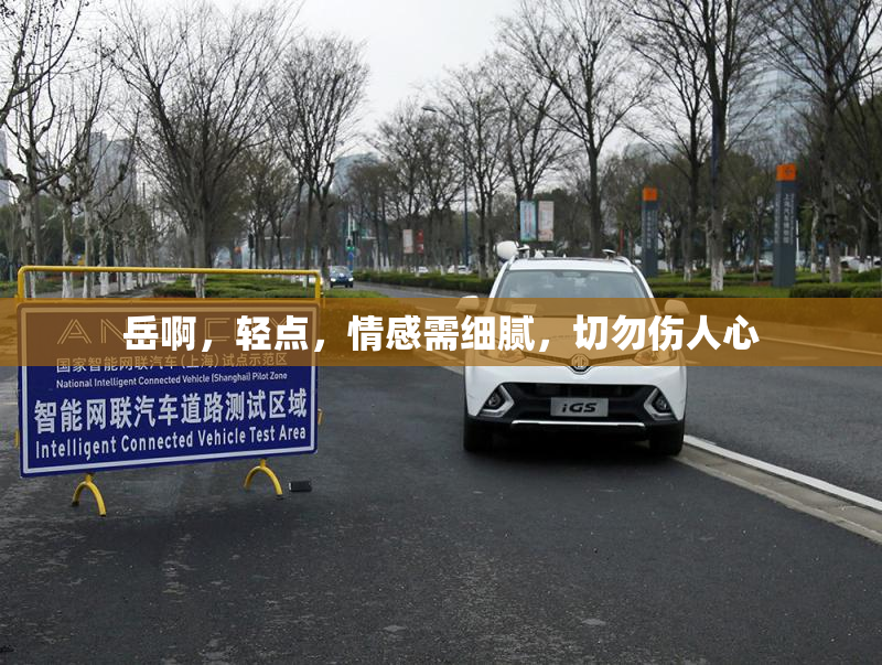岳啊，轻点，情感需细腻，切勿伤人心