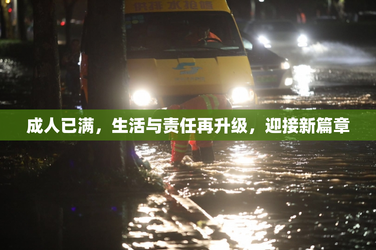 成人已满，生活与责任再升级，迎接新篇章