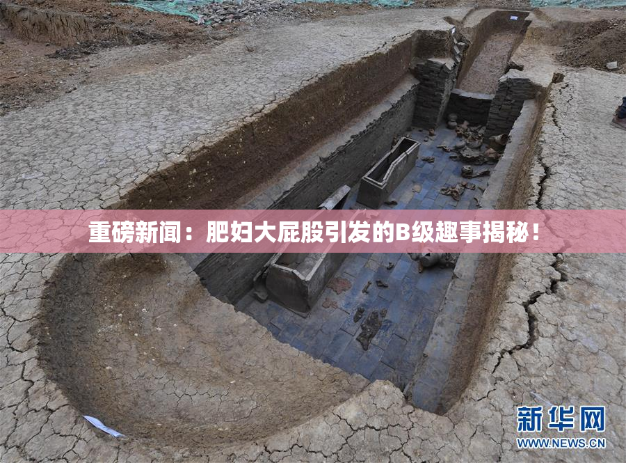 重磅新闻：肥妇大屁股引发的B级趣事揭秘！