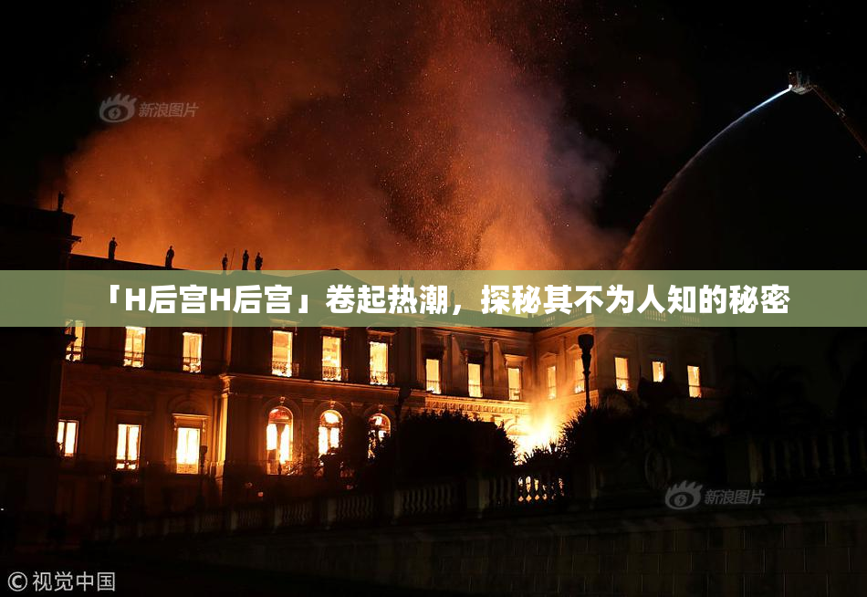 「H后宫H后宫」卷起热潮，探秘其不为人知的秘密