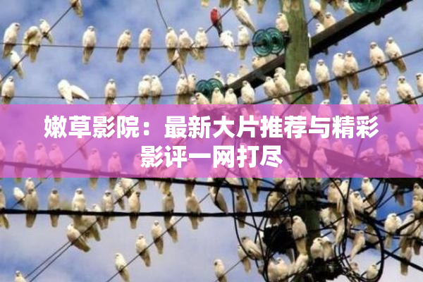 嫩草影院：最新大片推荐与精彩影评一网打尽