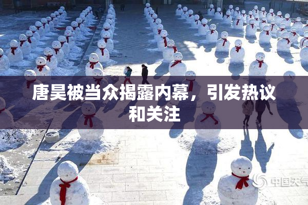 唐昊被当众揭露内幕，引发热议和关注