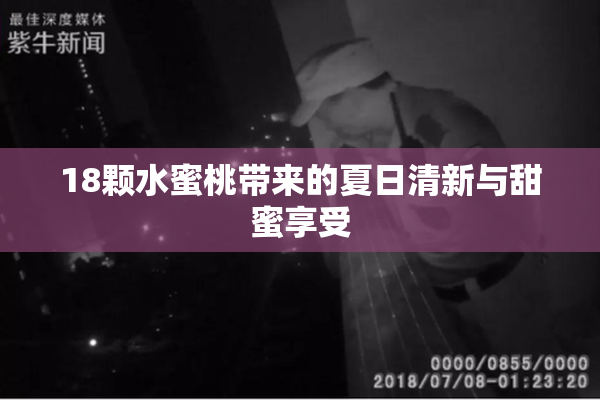 18颗水蜜桃带来的夏日清新与甜蜜享受
