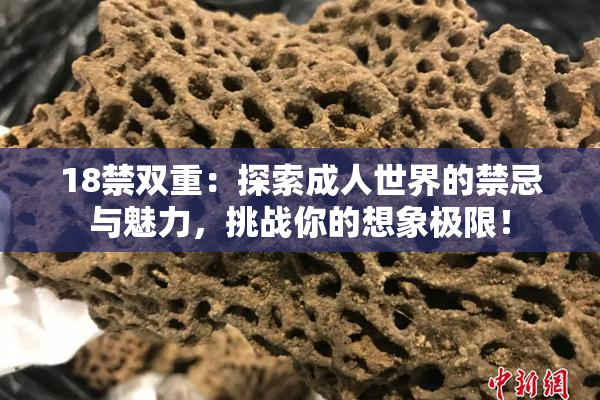 18禁双重：探索成人世界的禁忌与魅力，挑战你的想象极限！