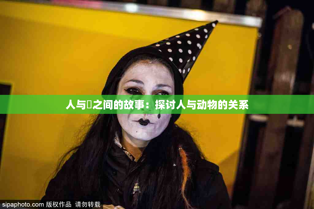 人与嘼之间的故事：探讨人与动物的关系