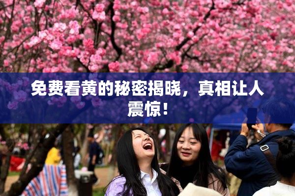 免费看黄的秘密揭晓，真相让人震惊！