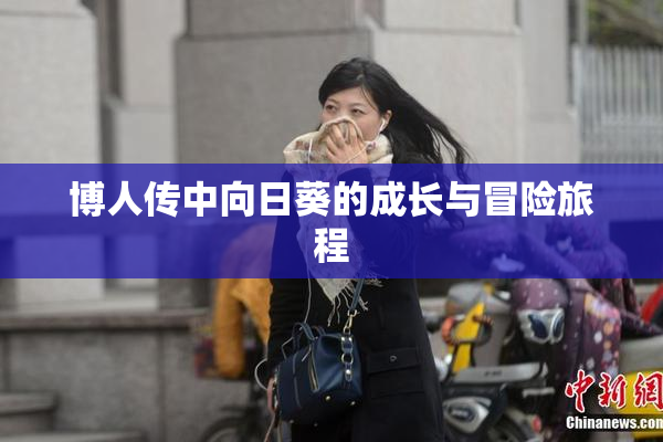 博人传中向日葵的成长与冒险旅程