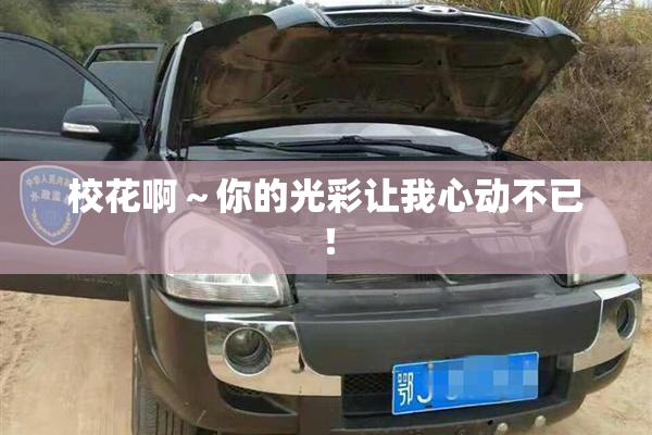 校花啊～你的光彩让我心动不已！