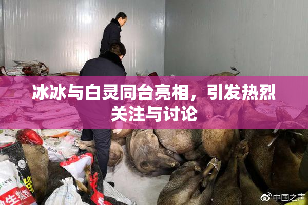 冰冰与白灵同台亮相，引发热烈关注与讨论