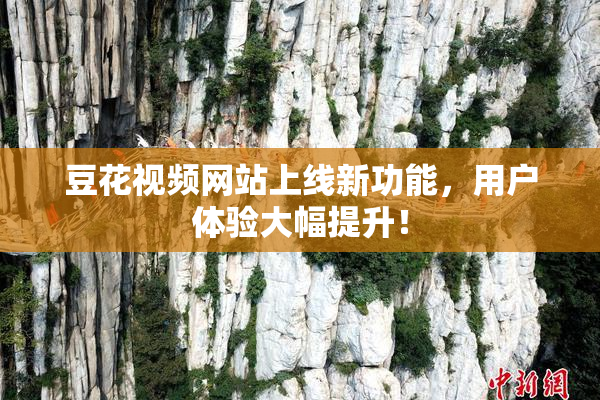 豆花视频网站上线新功能，用户体验大幅提升！