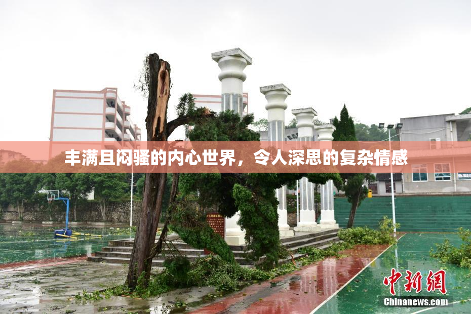 丰满且闷骚的内心世界，令人深思的复杂情感