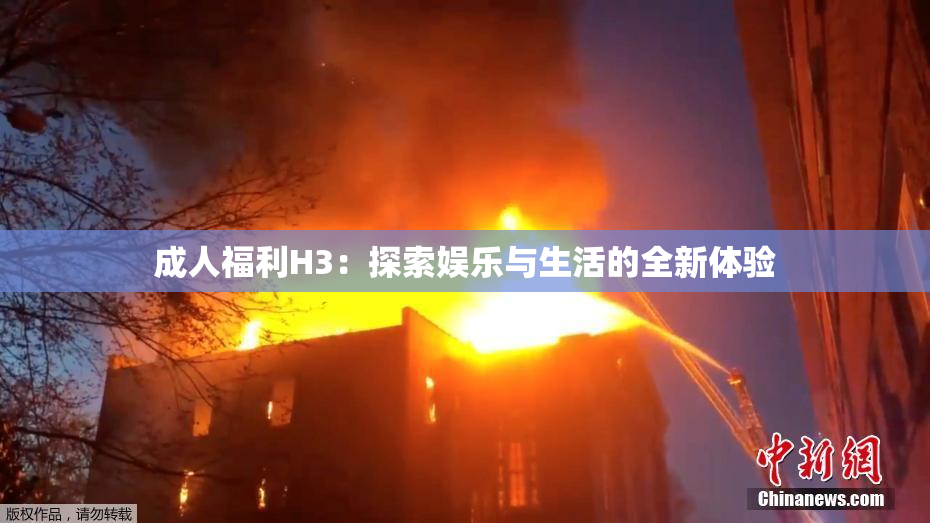成人福利H3：探索娱乐与生活的全新体验