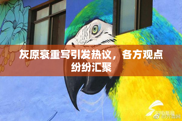 灰原衰重写引发热议，各方观点纷纷汇聚