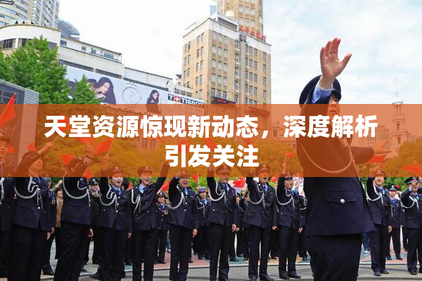天堂资源惊现新动态，深度解析引发关注