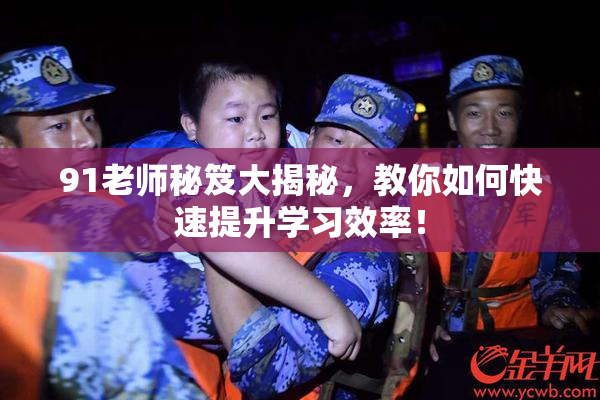 91老师秘笈大揭秘，教你如何快速提升学习效率！