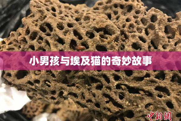 小男孩与埃及猫的奇妙故事