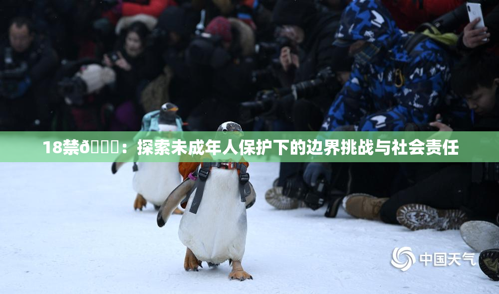 18禁🍆：探索未成年人保护下的边界挑战与社会责任