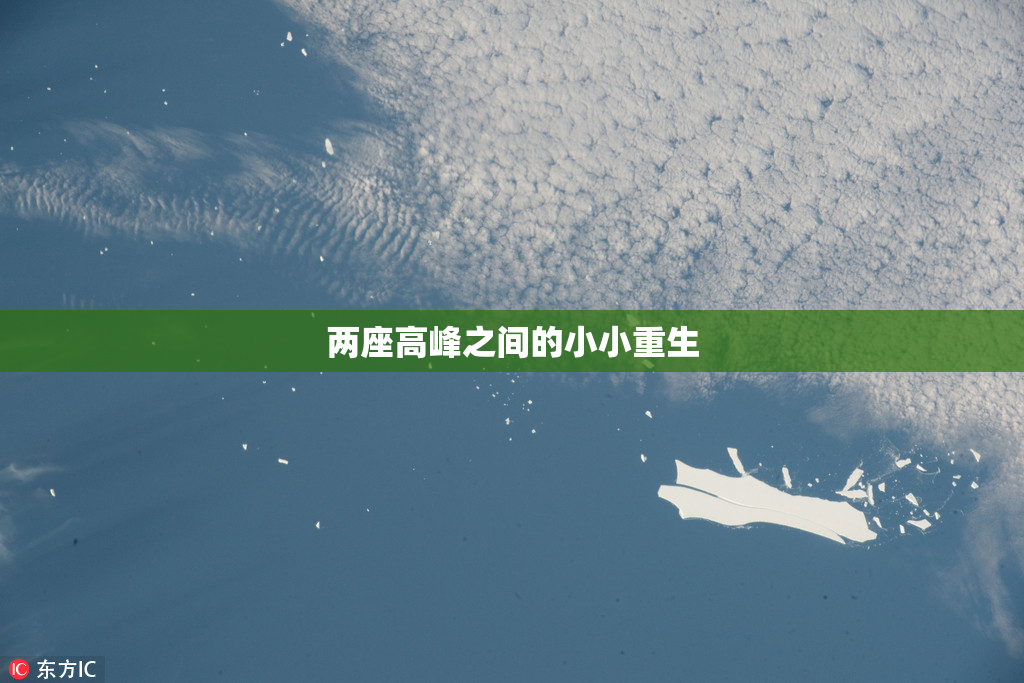 两座高峰之间的小小重生