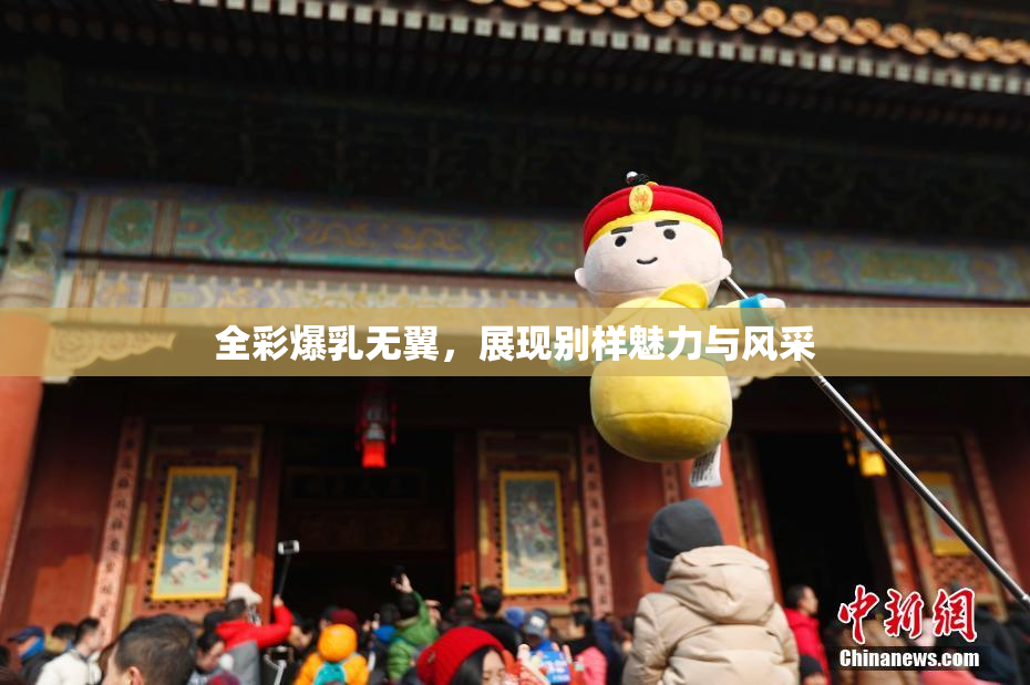 全彩爆乳无翼，展现别样魅力与风采