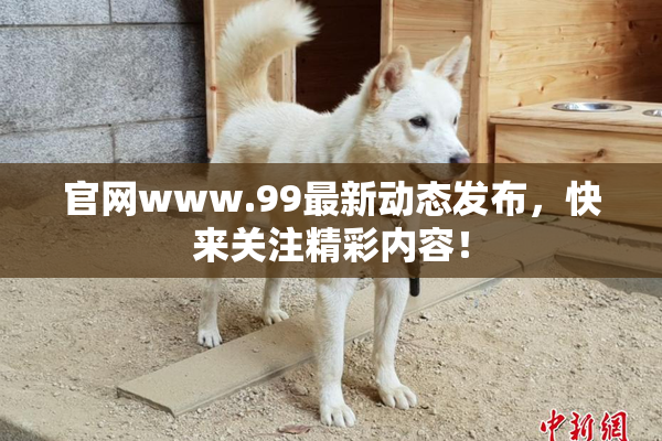 官网www.99最新动态发布，快来关注精彩内容！