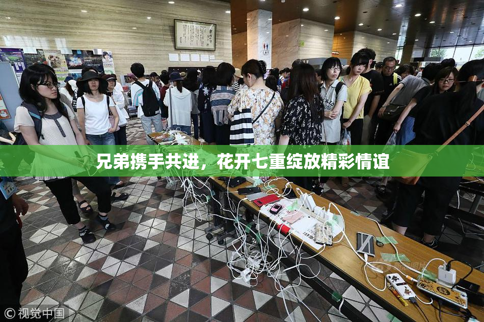 兄弟携手共进，花开七重绽放精彩情谊