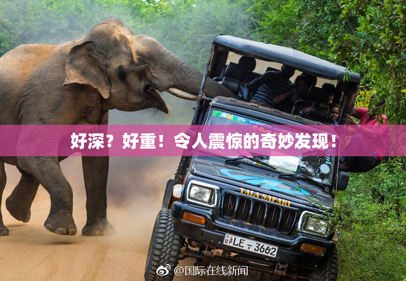 好深？好重！令人震惊的奇妙发现！