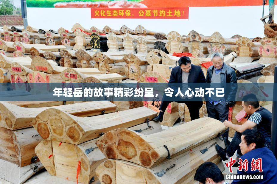 年轻岳的故事精彩纷呈，令人心动不已