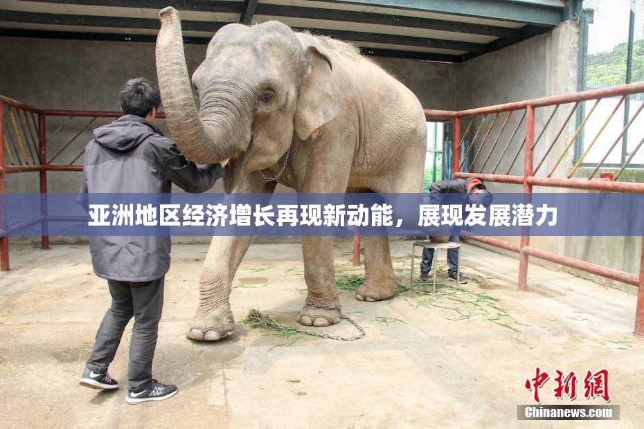 亚洲地区经济增长再现新动能，展现发展潜力