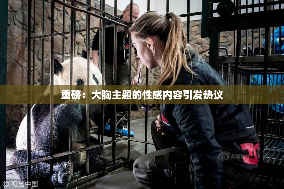 重磅：大胸主题的性感内容引发热议