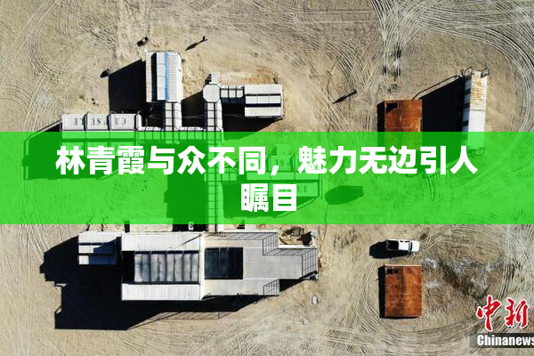 林青霞与众不同，魅力无边引人瞩目