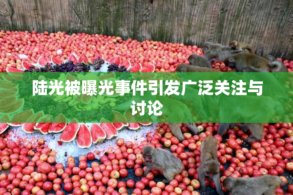 陆光被曝光事件引发广泛关注与讨论