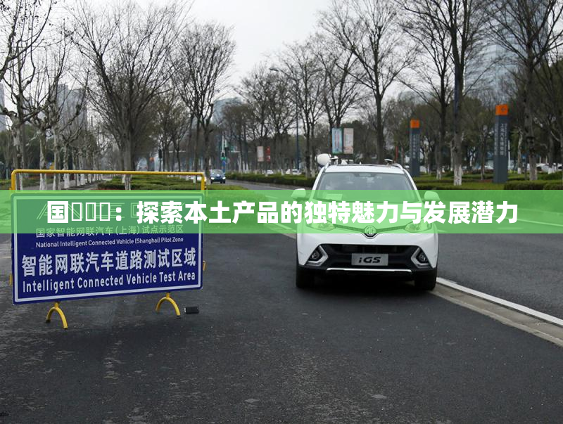 国產梱綁：探索本土产品的独特魅力与发展潜力