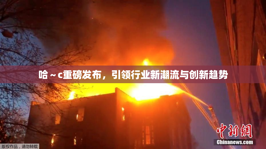 哈～c重磅发布，引领行业新潮流与创新趋势