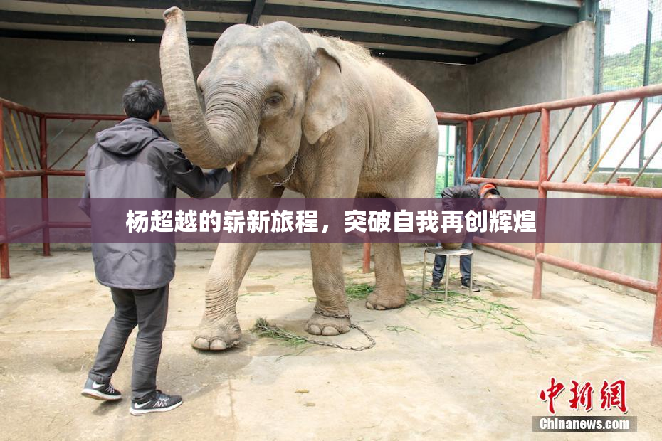 杨超越的崭新旅程，突破自我再创辉煌