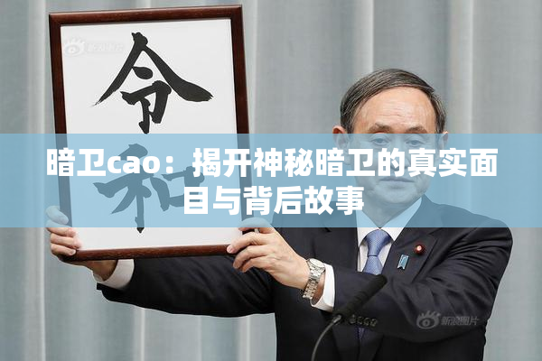 暗卫cao：揭开神秘暗卫的真实面目与背后故事