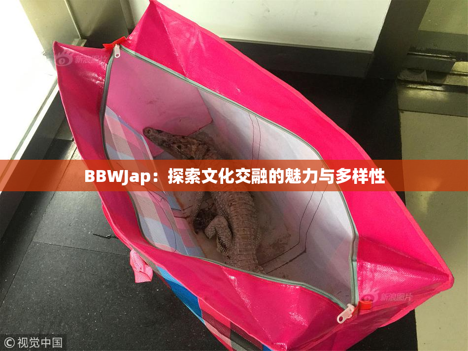 BBWJap：探索文化交融的魅力与多样性