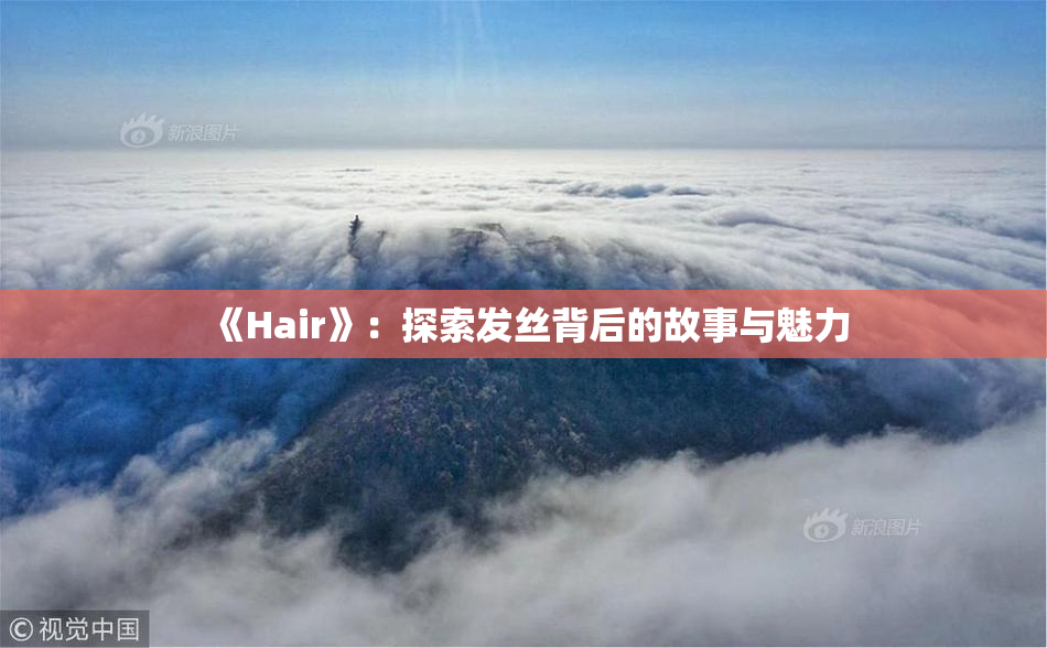 《Hair》：探索发丝背后的故事与魅力