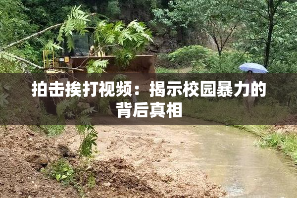 拍击挨打视频：揭示校园暴力的背后真相