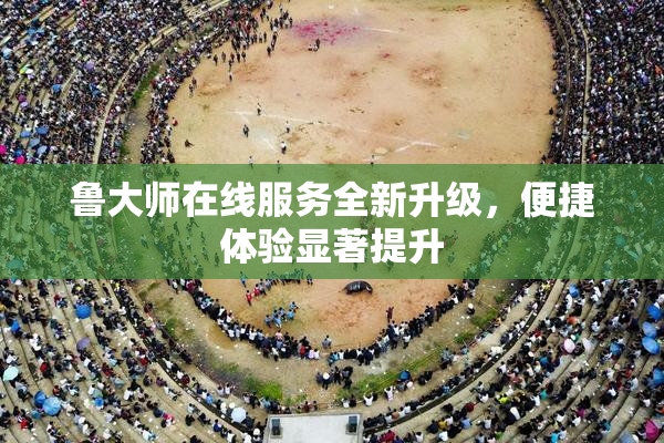 鲁大师在线服务全新升级，便捷体验显著提升