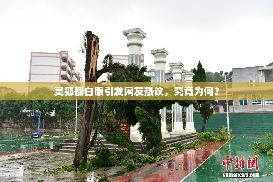 灵狐翻白眼引发网友热议，究竟为何？