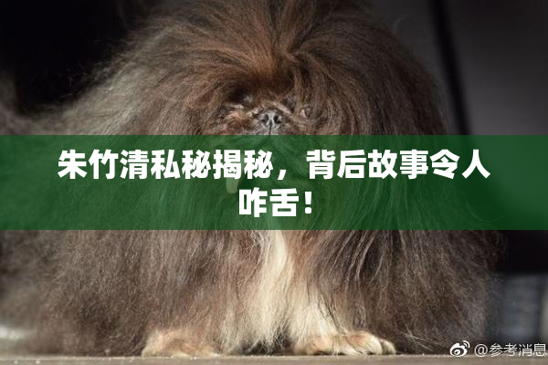 朱竹清私秘揭秘，背后故事令人咋舌！