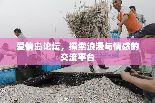 爱情岛论坛，探索浪漫与情感的交流平台